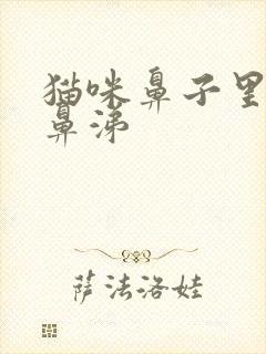 猫咪鼻子里有浓鼻涕