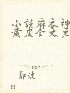 小说麻衣神婿陈黄皮全文免费阅读封面