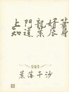 上门龙婿萧初然知道叶辰身份