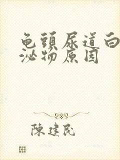 龟头尿道白色分泌物原因