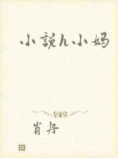 小说h小妈