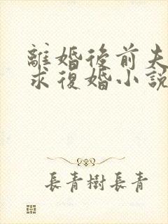 离婚后前夫哭着求复婚小说