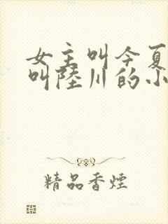 女主叫今夏男主叫陆川的小说