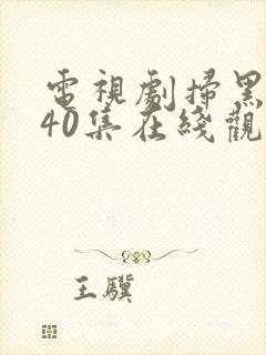 电视剧扫黑风暴40集在线观看免费