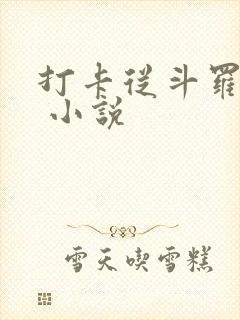 打卡从斗罗开始 小说