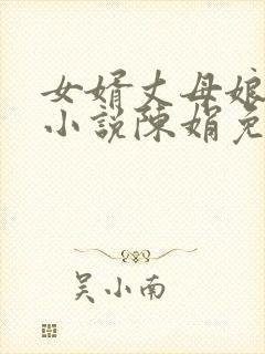 女婿丈母娘言情小说陈娟免费阅读