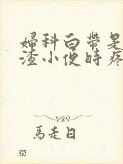 妇科白带是豆腐渣小便时疼痛原因封面