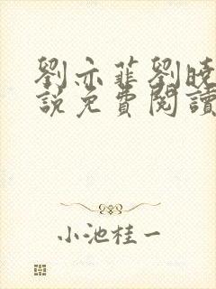 刘亦菲刘晓莉小说免费阅读