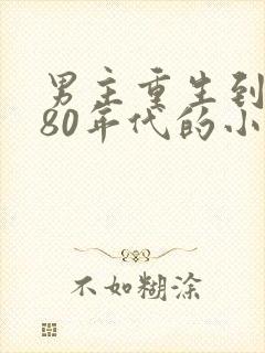 男主重生到7080年代的小说