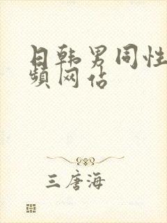 日韩男同性恋视频网站