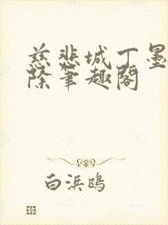 慈悲城丁墨无删除笔趣阁