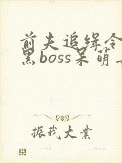 前夫追缉令:腹黑boss呆萌妻