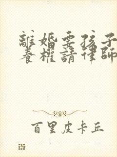 离婚要孩子的抚养权请律师的多少钱