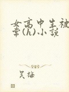 女高中生被脔日常(h)小说