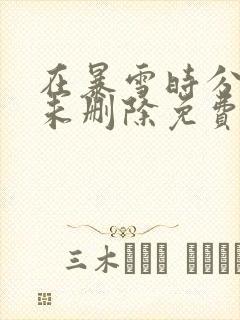 在暴雪时分小说未删除免费阅读