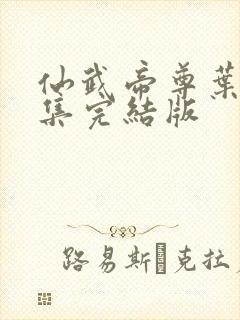 仙武帝尊叶辰全集完结版封面