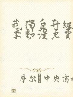 我独自升级第二季动漫免费观看封面