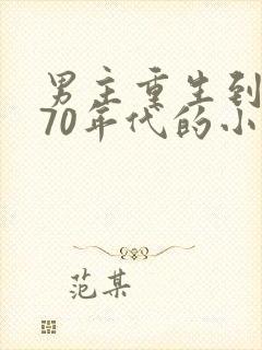 男主重生到京城70年代的小说