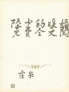 陆少的暖婚新妻免费全文阅读