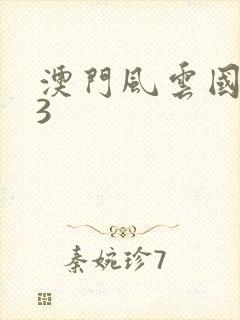 澳门风云国语版3封面