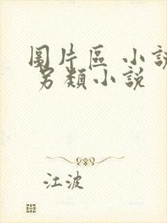 图片区 小说区 另类小说封面