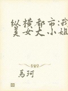 纵横都市:我与美女大小姐笔趣阁封面