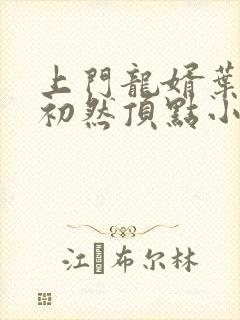 上门龙婿叶辰萧初然顶点小说