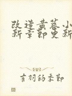 改造黄蓉小说最新章节更新