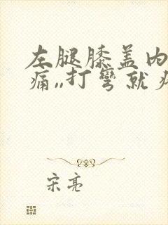 左腿膝盖内侧疼痛,,打弯就疼,为什么封面