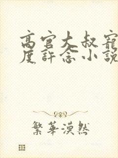 高官大叔宠妻无度许念小说