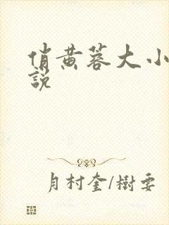 俏黄蓉大小武小说
