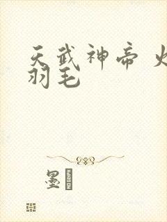 天武神帝 火焰羽毛封面