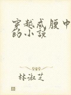 穿越成腹中胎儿的小说