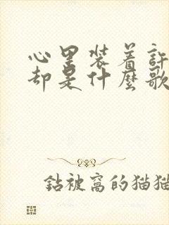 心里装着许多愁却是什么歌封面