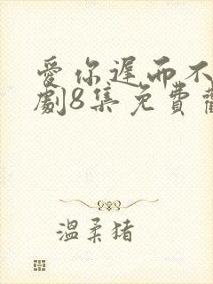 爱你迟而不晚短剧8集免费观看