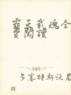 霸天武魂全文免费阅读