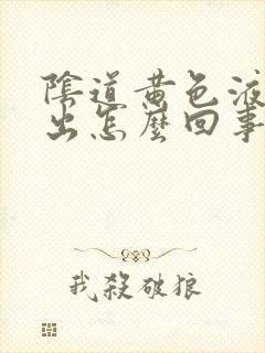 阴道黄色液体流出怎么回事封面