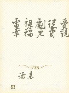 电视剧从爱情到幸福免费观看全集