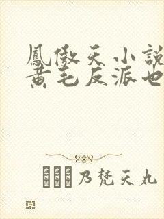 凤傲天小说里的黄毛反派也想要幸福txt下载