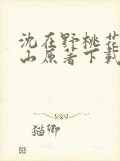 沈在野桃花映江山原著下载