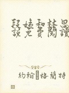 段姨和林思量小说免费阅读