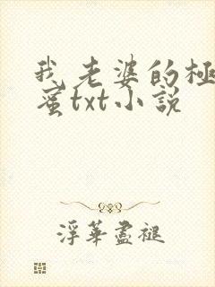 我老婆的极品闺蜜txt小说