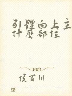 引体向上主要练什么部位