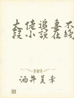 大佬追妻不择手段小说在线