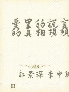 爱里的谎言仇恨的真相视频