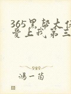 365黑帮大佬爱上我第三部剧