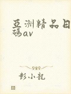 亚洲精品日韩有码av