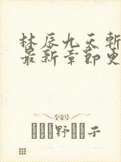 林辰九天斩神诀最新章节更新封面