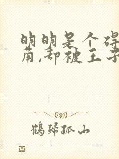 明明是个碍事配角,却被王子给宠爱了完整版