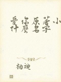 爱你原著小说叫什么名字